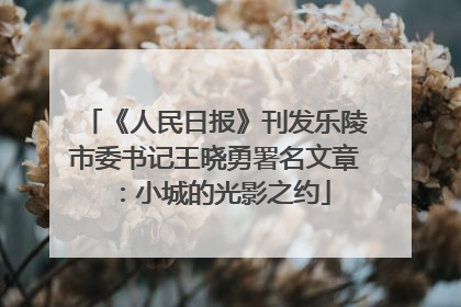 《人民日报》刊发乐陵市委书记王晓勇署名文章：小城的光影之约