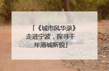 《城市风华录》走进宁波，探寻千年港城新貌