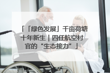「绿色发展」千亩荷塘 十年新生｜四任航空村官的“生态接力”