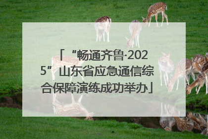 “畅通齐鲁·2025”山东省应急通信综合保障演练成功举办