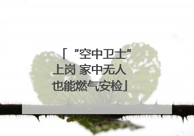 “空中卫士”上岗 家中无人也能燃气安检
