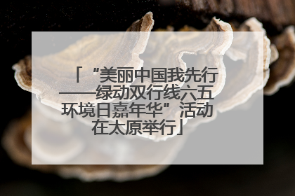 “美丽中国我先行——绿动双行线六五环境日嘉年华”活动在太原举行