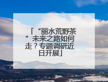 “丽水荒野茶”未来之路如何走？专题调研近日开展
