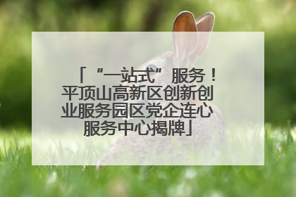 “一站式”服务！平顶山高新区创新创业服务园区党企连心服务中心揭牌