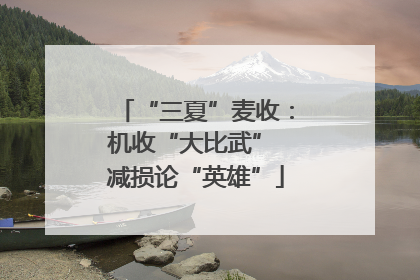“三夏”麦收：机收“大比武” 减损论“英雄”