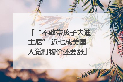 “不敢带孩子去迪士尼” 近七成美国人觉得物价还要涨