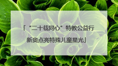 “二十载同心”特教公益行 新奥点亮特殊儿童星光