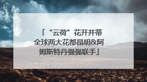 “云荷”花开并蒂 全球两大花都昆明&阿姆斯特丹强强联手