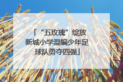 “五玫瑰”绽放 新城小学混编少年足球队勇夺四强