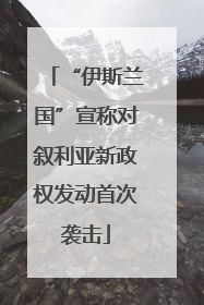 “伊斯兰国”宣称对叙利亚新政权发动首次袭击