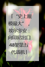“史上规模最大”，埃尔多安：向印尼出口48架第五代战机