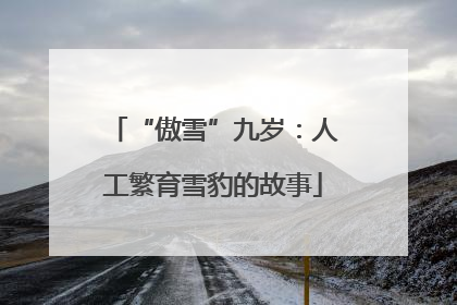 “傲雪”九岁：人工繁育雪豹的故事