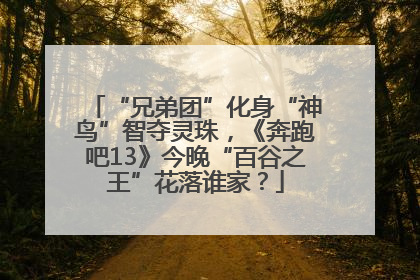 “兄弟团”化身“神鸟”智夺灵珠，《奔跑吧13》今晚“百谷之王”花落谁家？