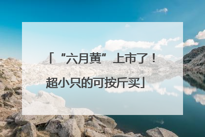“六月黄”上市了！超小只的可按斤买