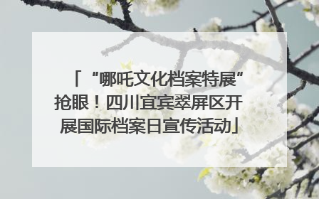 “哪吒文化档案特展”抢眼！四川宜宾翠屏区开展国际档案日宣传活动