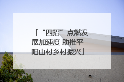 “四招”点燃发展加速度 助推平阳山村乡村振兴