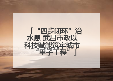 “四步闭环”治水患 武昌市政以科技赋能筑牢城市“里子工程”