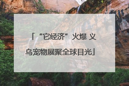 “它经济”火爆 义乌宠物展聚全球目光
