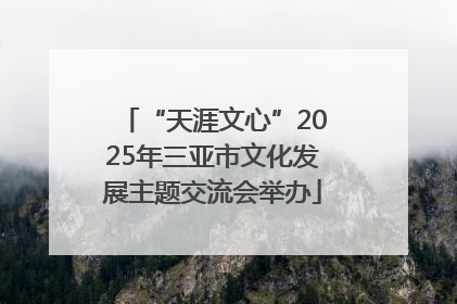 “天涯文心”2025年三亚市文化发展主题交流会举办
