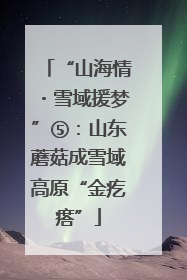 “山海情・雪域援梦”⑤：山东蘑菇成雪域高原“金疙瘩”