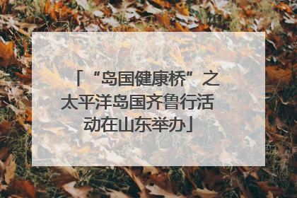 “岛国健康桥”之太平洋岛国齐鲁行活动在山东举办