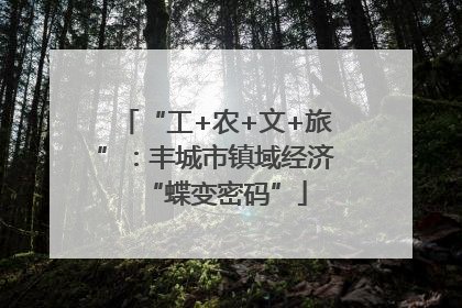 “工+农+文+旅”：丰城市镇域经济“蝶变密码”