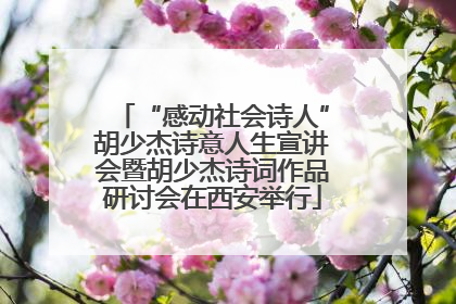 “感动社会诗人”胡少杰诗意人生宣讲会暨胡少杰诗词作品研讨会在西安举行