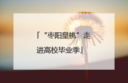“枣阳皇桃”走进高校毕业季