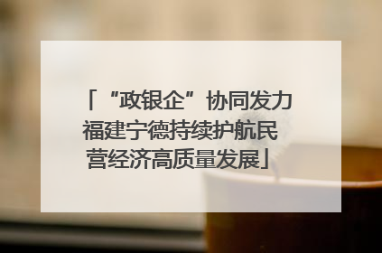“政银企”协同发力 福建宁德持续护航民营经济高质量发展