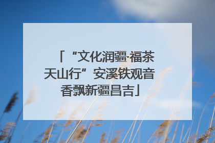 “文化润疆·福茶天山行”安溪铁观音香飘新疆昌吉