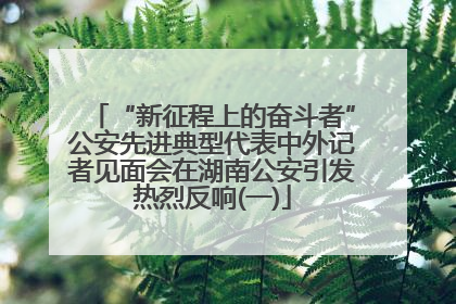 “新征程上的奋斗者”公安先进典型代表中外记者见面会在湖南公安引发热烈反响(一)