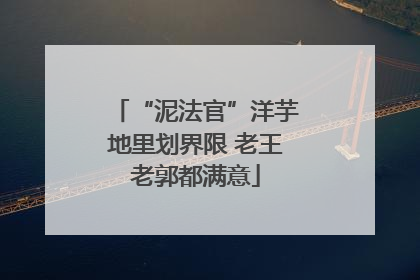 “泥法官”洋芋地里划界限 老王老郭都满意