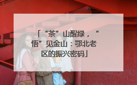 “茶”山醒绿，“悟”见金山：鄂北老区的振兴密码