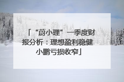 “蔚小理”一季度财报分析：理想盈利稳健 小鹏亏损收窄