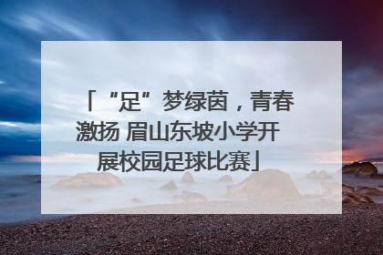 “足”梦绿茵，青春激扬 眉山东坡小学开展校园足球比赛