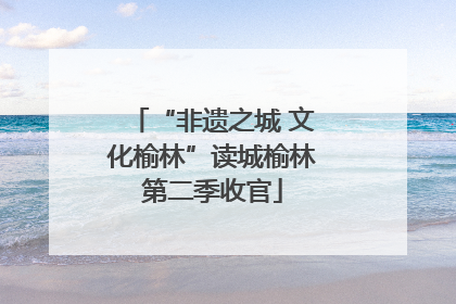 “非遗之城 文化榆林”读城榆林第二季收官