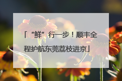 “鲜”行一步！顺丰全程护航东莞荔枝进京