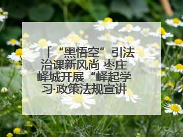 “黑悟空”引法治课新风尚 枣庄峄城开展“峄起学习·政策法规宣讲面对面”活动