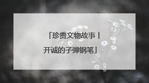 珍贵文物故事丨开诚的子弹钢笔