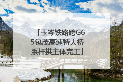 玉岑铁路跨G65包茂高速特大桥系杆拱主体完工