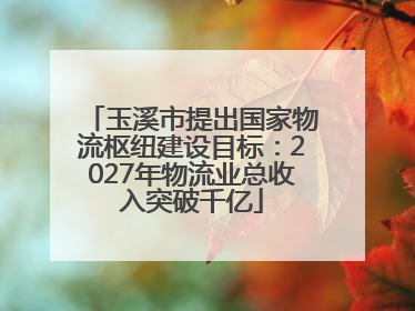 玉溪市提出国家物流枢纽建设目标：2027年物流业总收入突破千亿