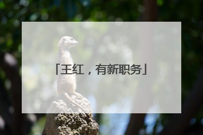 王红，有新职务