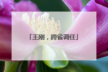 王刚，跨省调任