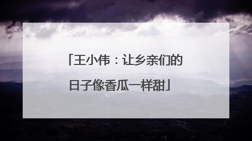 王小伟：让乡亲们的日子像香瓜一样甜