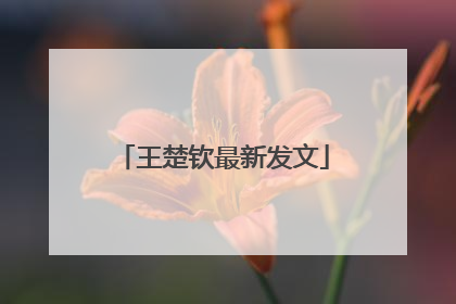 王楚钦最新发文