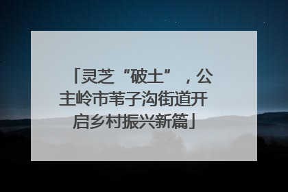 灵芝“破土”，公主岭市苇子沟街道开启乡村振兴新篇