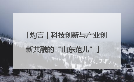灼言｜科技创新与产业创新共融的“山东范儿”