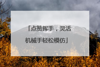 点赞挥手，灵活机械手轻松模仿