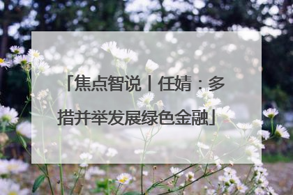 焦点智说丨任婧：多措并举发展绿色金融