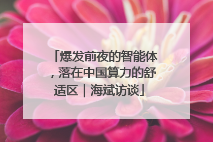 爆发前夜的智能体，落在中国算力的舒适区｜海斌访谈